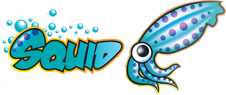 whmcs brightdata proxy module